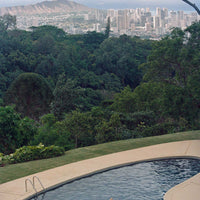 The Inca Bucket - Seashells